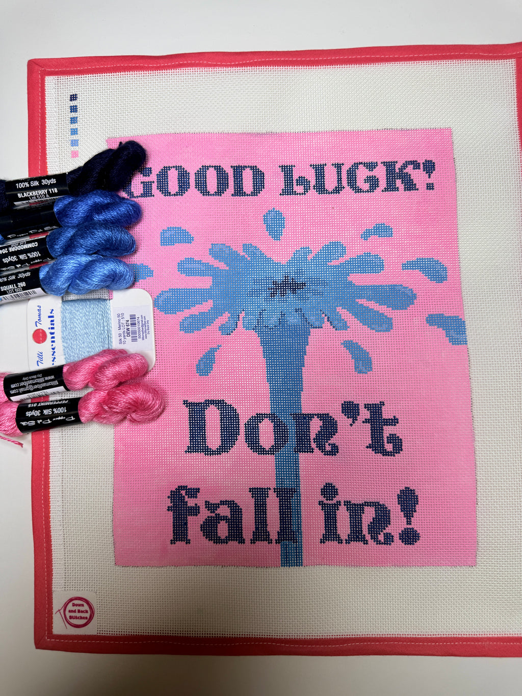 Good luck! Don’t Fall In! Needlepoint canvas