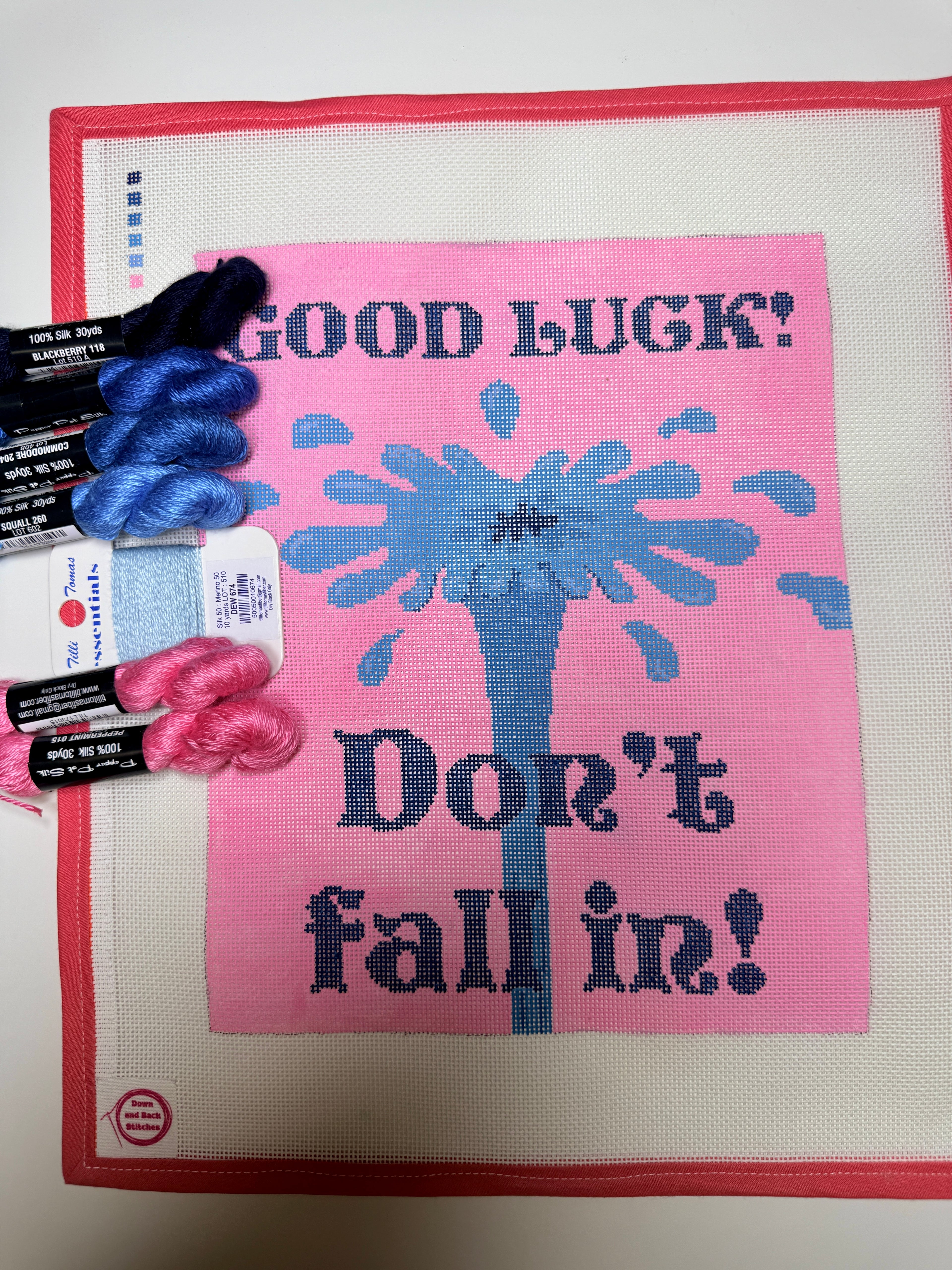 Good luck! Don’t Fall In! Needlepoint canvas
