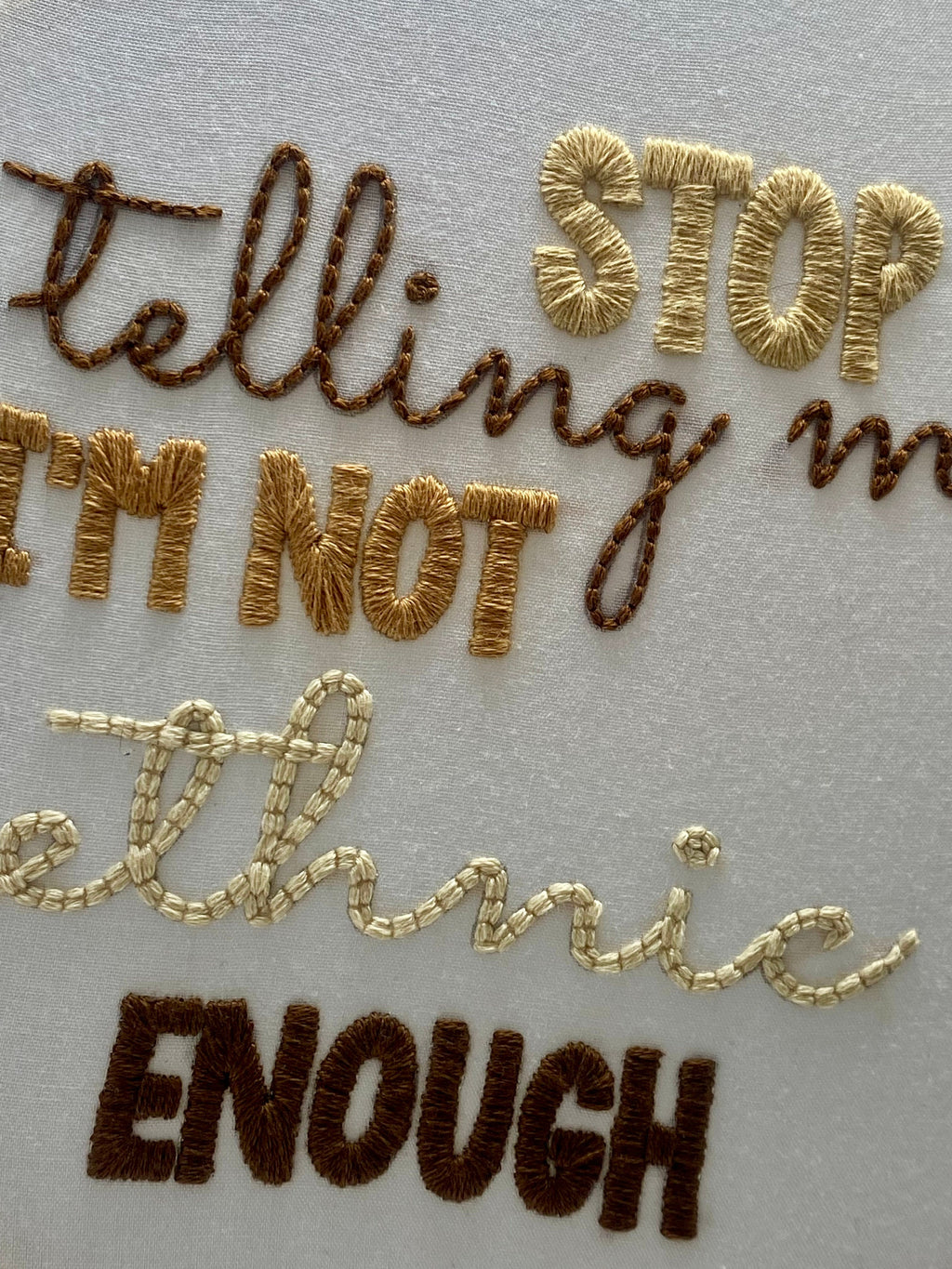Am I Ethnic Enough? Framed Embroidery