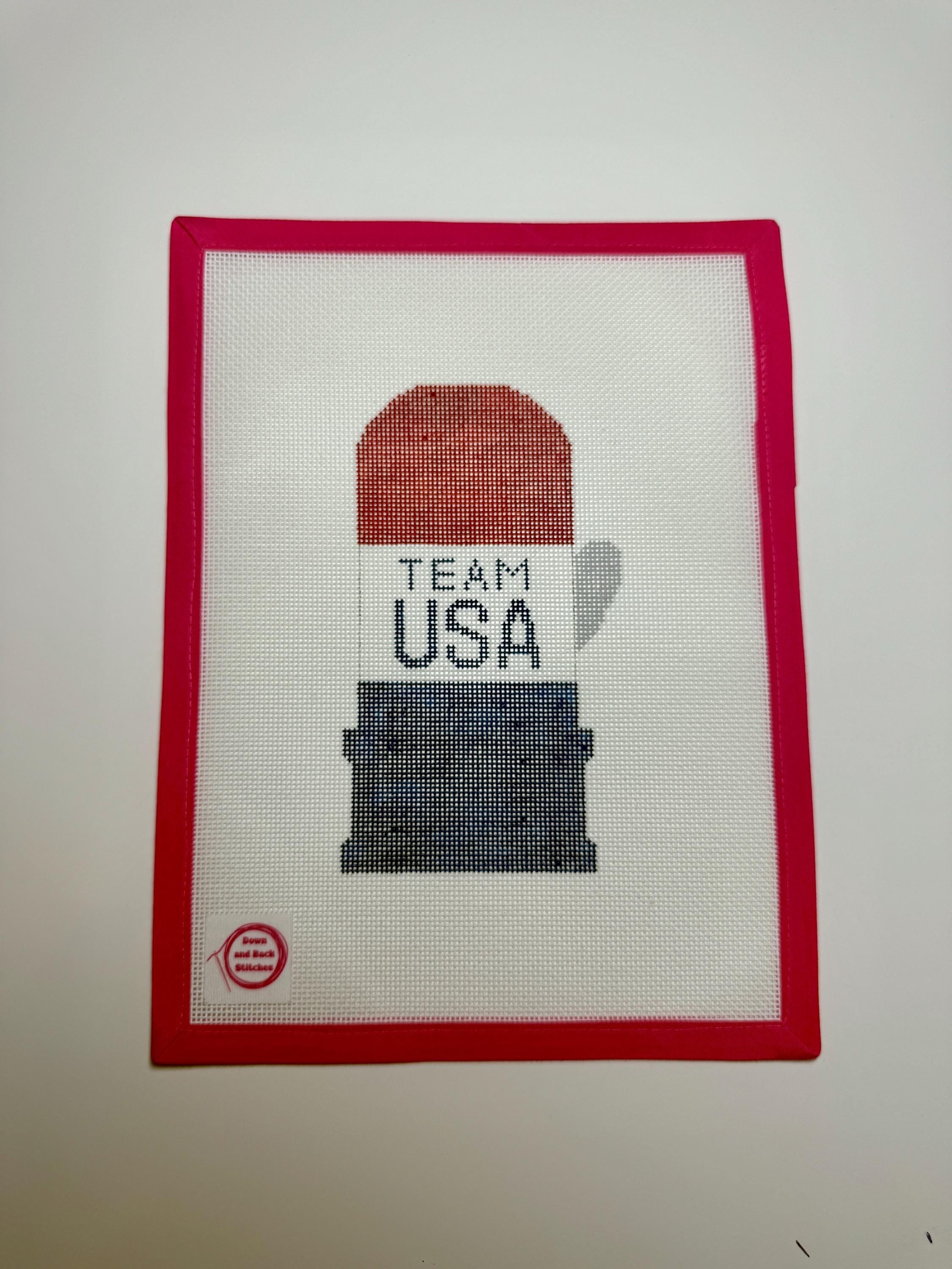 Team USA Winter Olympic Mittens Hand Painted Needlepoint Canvas
